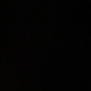 Meet your Posher, Rose